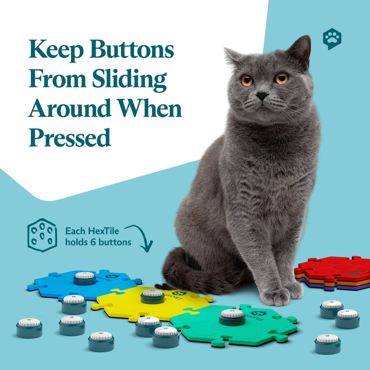 Key Vocab Kit Bold